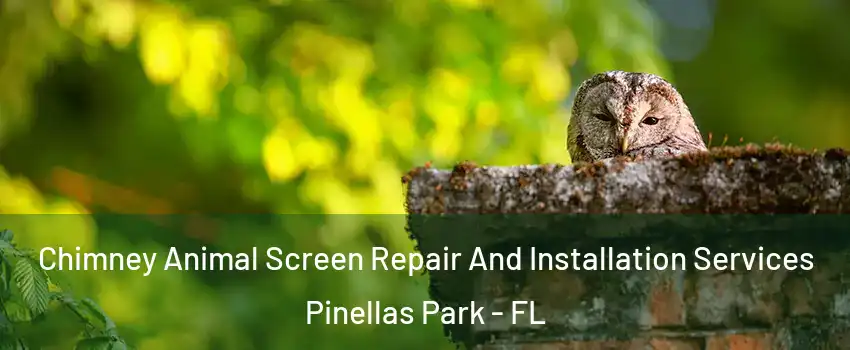  Chimney Animal Screen Repair And Installation Services Pinellas Park - FL
