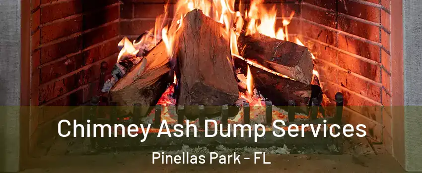  Chimney Ash Dump Services Pinellas Park - FL