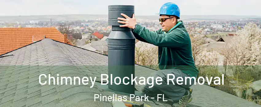  Chimney Blockage Removal Pinellas Park - FL
