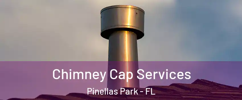  Chimney Cap Services Pinellas Park - FL