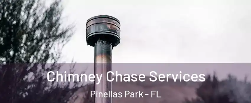  Chimney Chase Services Pinellas Park - FL
