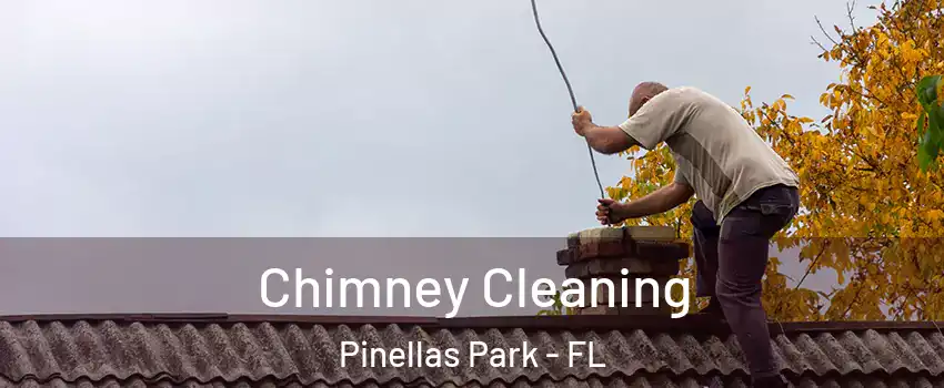  Chimney Cleaning Pinellas Park - FL
