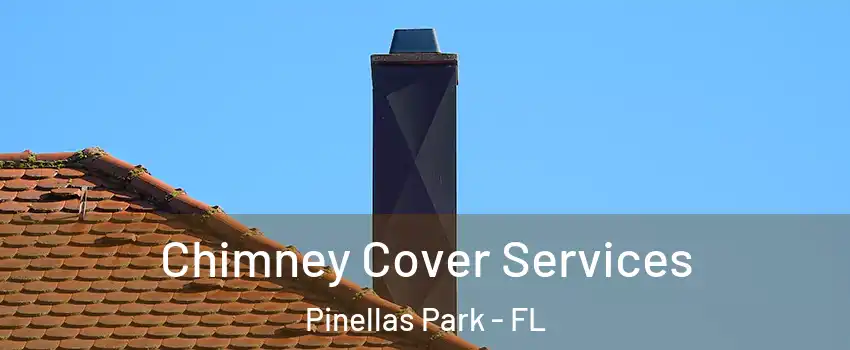  Chimney Cover Services Pinellas Park - FL