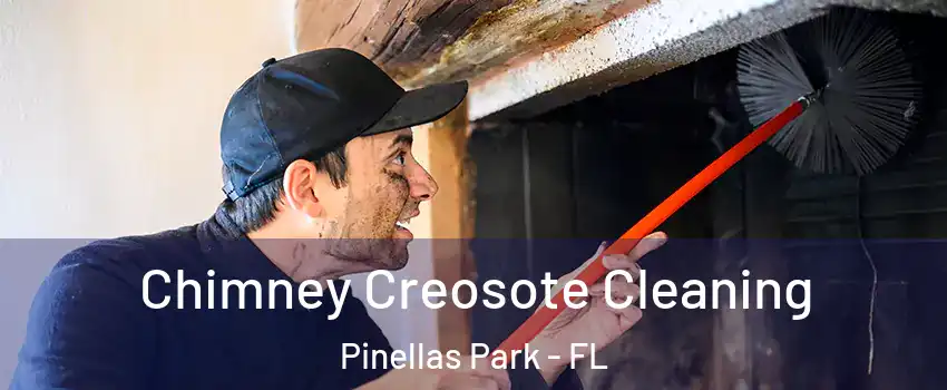  Chimney Creosote Cleaning Pinellas Park - FL