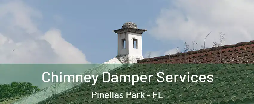  Chimney Damper Services Pinellas Park - FL
