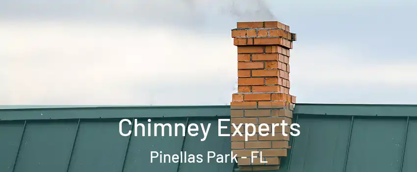 Chimney Experts Pinellas Park - FL