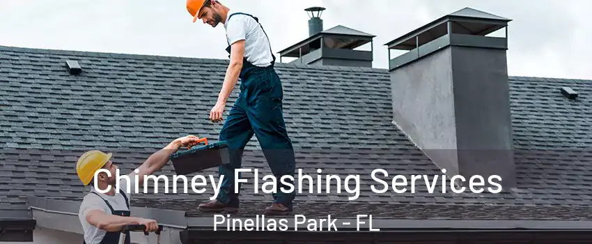 Chimney Flashing Services Pinellas Park - FL