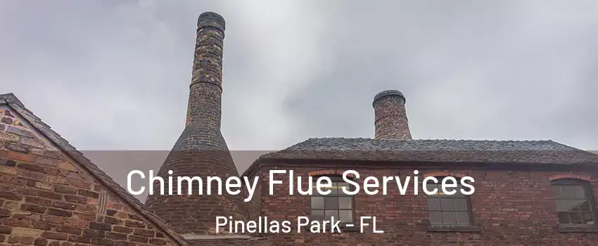  Chimney Flue Services Pinellas Park - FL