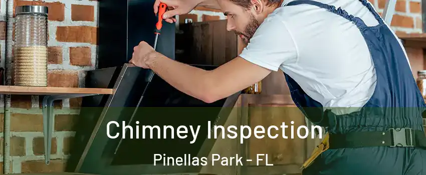 Chimney Inspection Pinellas Park - FL