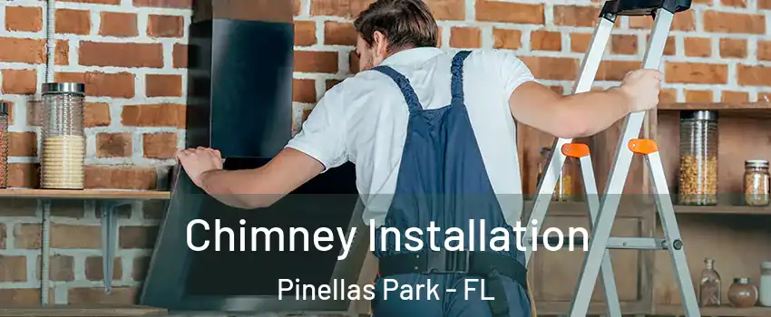  Chimney Installation Pinellas Park - FL