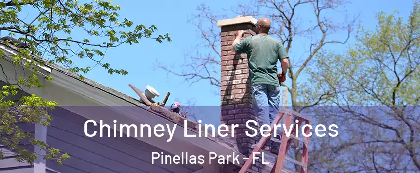  Chimney Liner Services Pinellas Park - FL