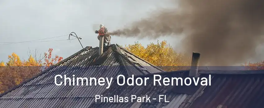 Chimney Odor Removal Pinellas Park - FL