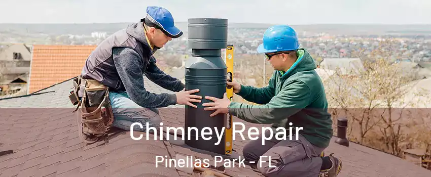 Chimney Repair Pinellas Park - FL