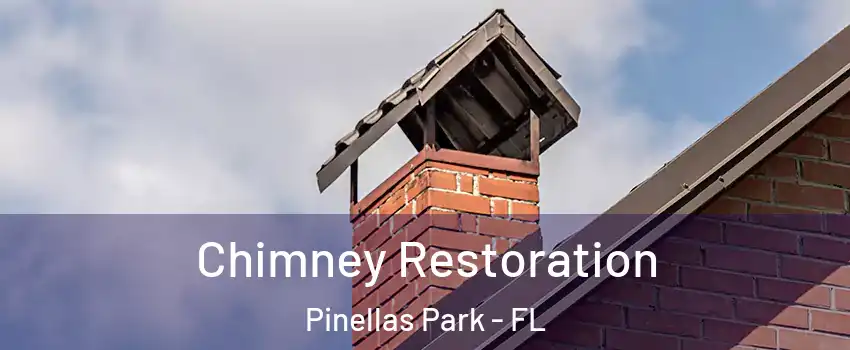 Chimney Restoration Pinellas Park - FL