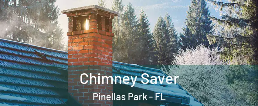  Chimney Saver Pinellas Park - FL