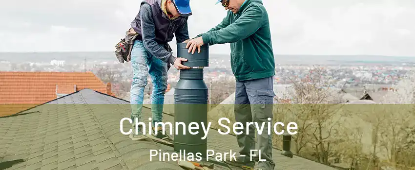  Chimney Service Pinellas Park - FL
