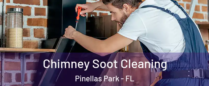  Chimney Soot Cleaning Pinellas Park - FL