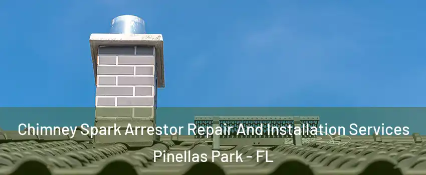  Chimney Spark Arrestor Repair And Installation Services Pinellas Park - FL