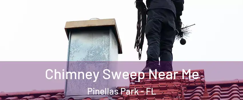  Chimney Sweep Near Me Pinellas Park - FL