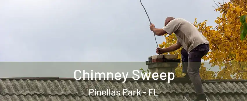  Chimney Sweep Pinellas Park - FL