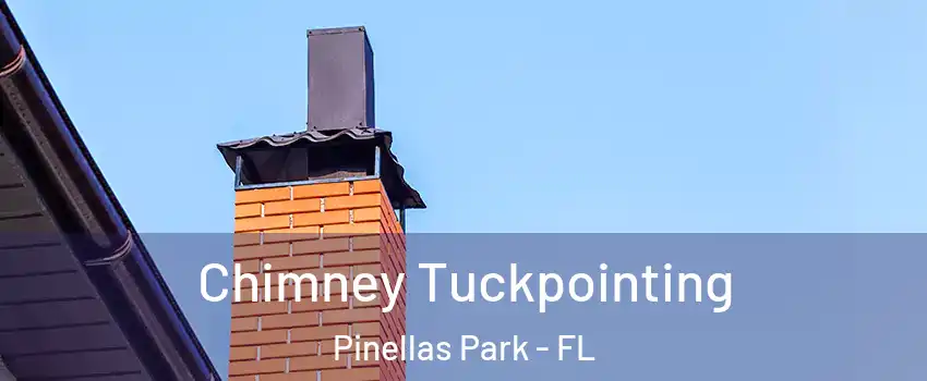 Chimney Tuckpointing Pinellas Park - FL