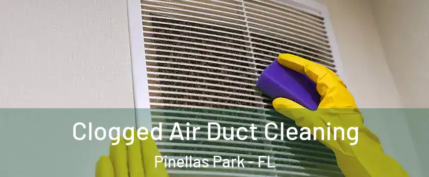  Clogged Air Duct Cleaning Pinellas Park - FL