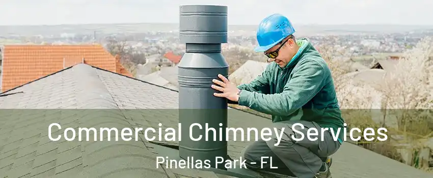  Commercial Chimney Services Pinellas Park - FL