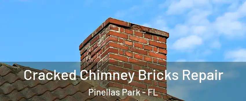  Cracked Chimney Bricks Repair Pinellas Park - FL