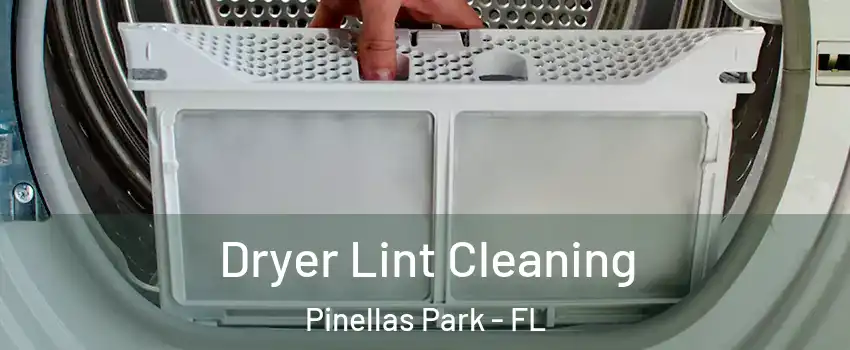  Dryer Lint Cleaning Pinellas Park - FL