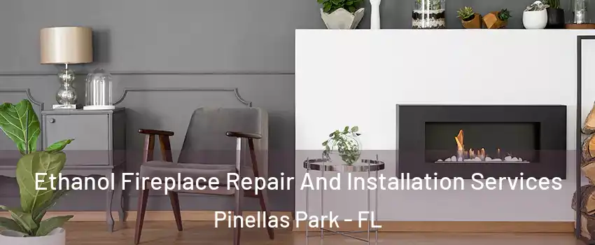 Ethanol Fireplace Repair And Installation Services Pinellas Park - FL