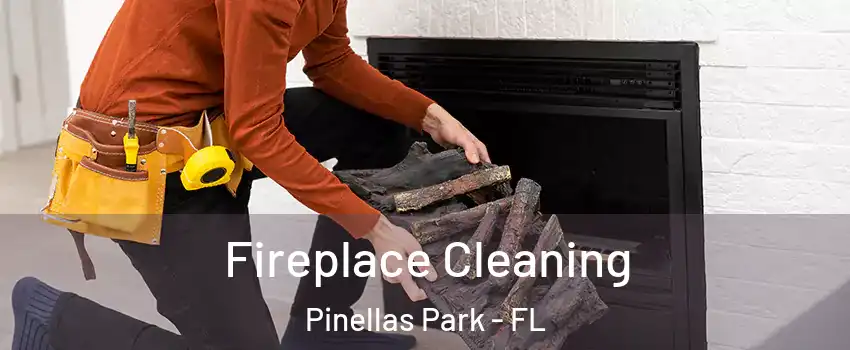  Fireplace Cleaning Pinellas Park - FL