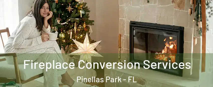  Fireplace Conversion Services Pinellas Park - FL