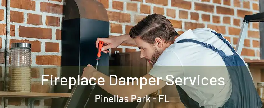  Fireplace Damper Services Pinellas Park - FL