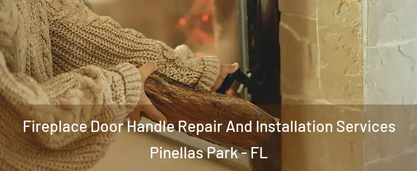  Fireplace Door Handle Repair And Installation Services Pinellas Park - FL