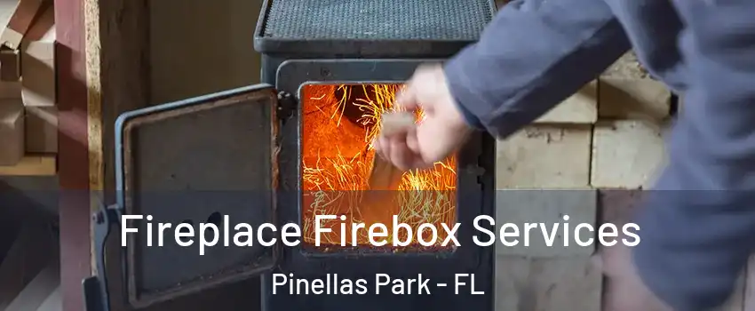  Fireplace Firebox Services Pinellas Park - FL
