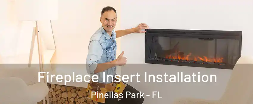  Fireplace Insert Installation Pinellas Park - FL