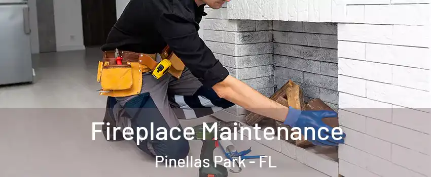  Fireplace Maintenance Pinellas Park - FL
