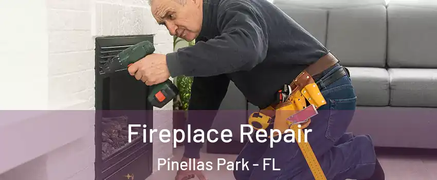  Fireplace Repair Pinellas Park - FL