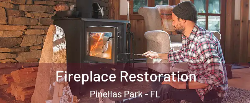  Fireplace Restoration Pinellas Park - FL