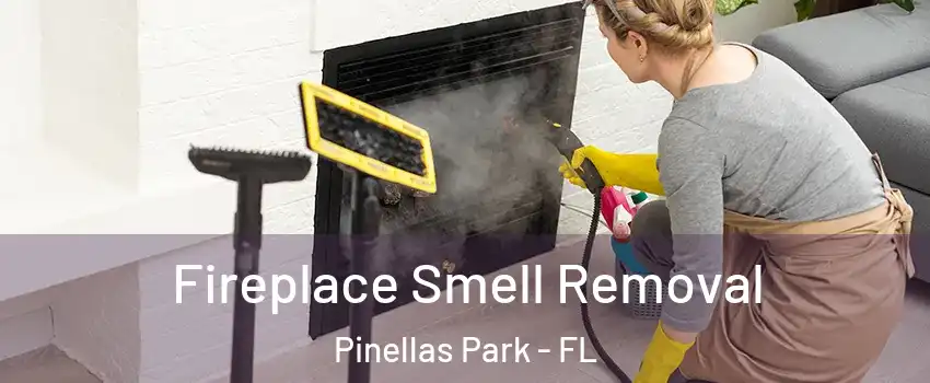  Fireplace Smell Removal Pinellas Park - FL