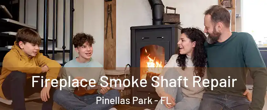  Fireplace Smoke Shaft Repair Pinellas Park - FL