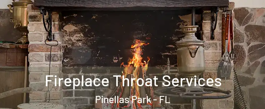  Fireplace Throat Services Pinellas Park - FL