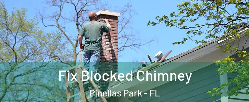  Fix Blocked Chimney Pinellas Park - FL