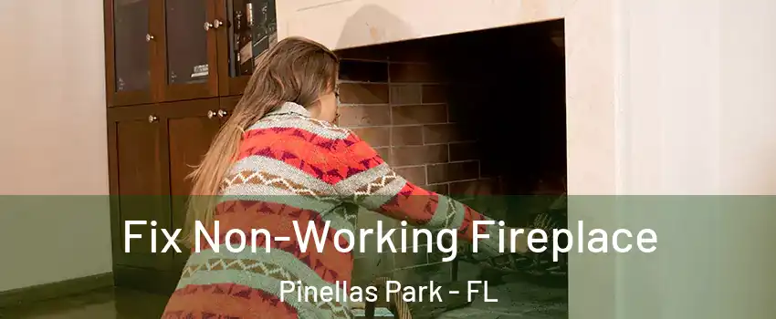  Fix Non-Working Fireplace Pinellas Park - FL