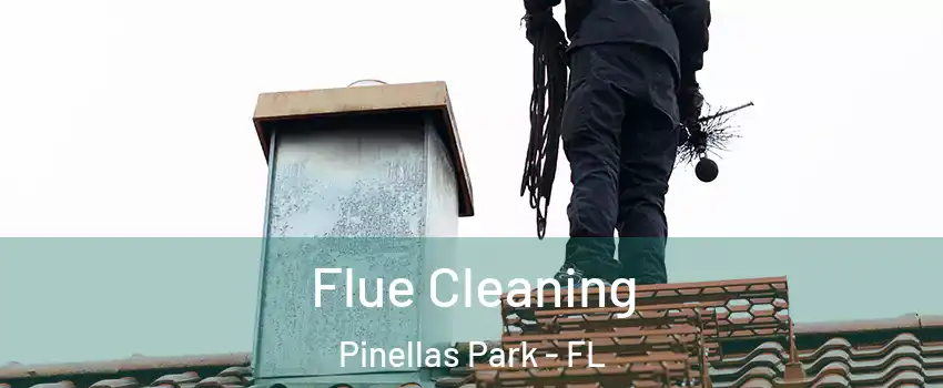  Flue Cleaning Pinellas Park - FL