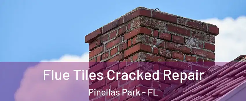  Flue Tiles Cracked Repair Pinellas Park - FL
