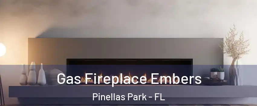  Gas Fireplace Embers Pinellas Park - FL