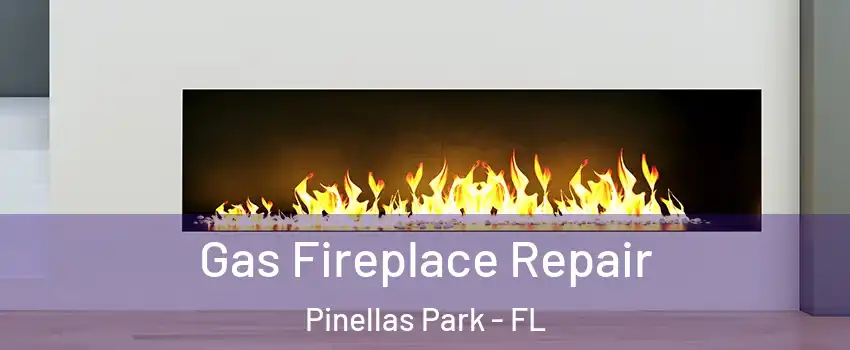  Gas Fireplace Repair Pinellas Park - FL