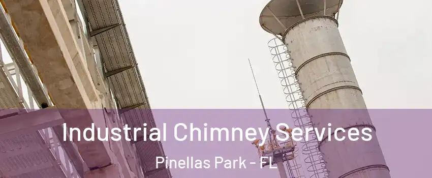  Industrial Chimney Services Pinellas Park - FL