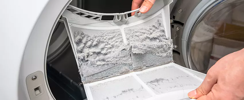Best Dryer Lint Removal Company in Pinellas Park, Florida
